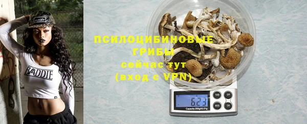 ALPHA PVP Беломорск
