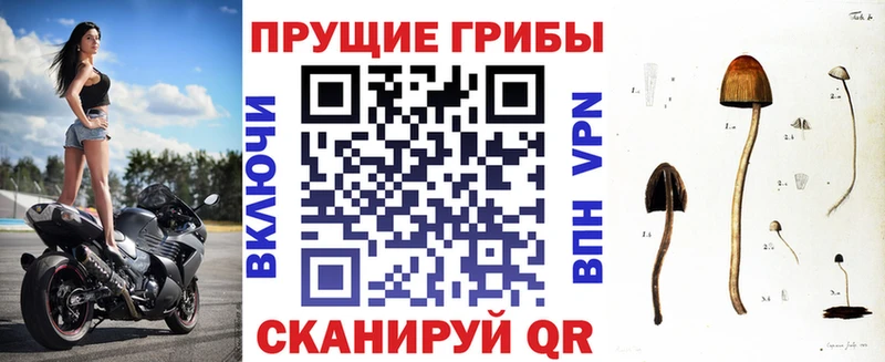 Галлюциногенные грибы MAGIC MUSHROOMS  Мамоново 